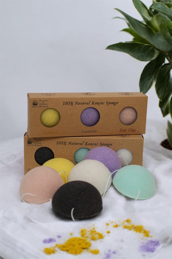 A collection of The Lather and The Wick's 100% natural Konjac Sponge - Facial Exfoliators, available in an array of colors including white, black, yellow, purple, and green, is beautifully displayed on a white surface. Behind them are two brown boxes with labeled packaging for turmeric, lavender, and red clay sponges neatly stacked. To the right of the display sits a vibrant green plant.